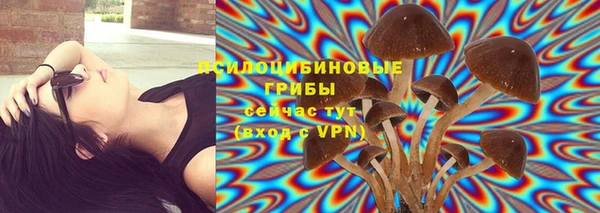 первитин Беломорск