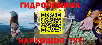 apvp Ливны