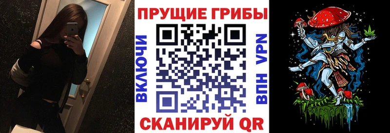 Галлюциногенные грибы прущие грибы Губкинский