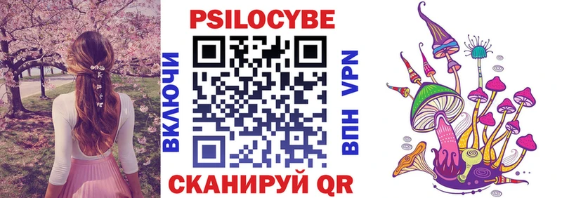 дарнет шоп  Губкинский  Псилоцибиновые грибы прущие грибы 