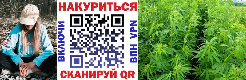Каннабис семена Губкинский